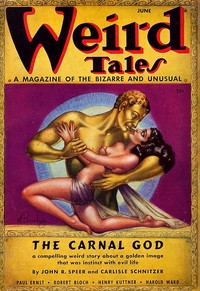 Cover of Murder mask